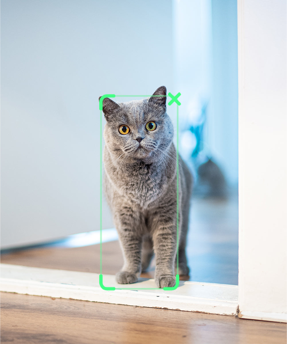 карданный держатель для телефона